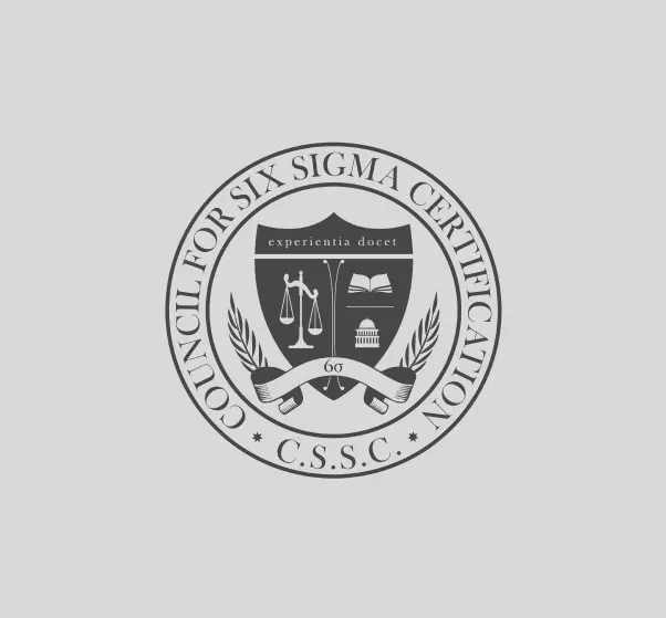 Lean Six Sigma Consulting